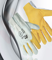 Winter Driving gloves for Men graphic